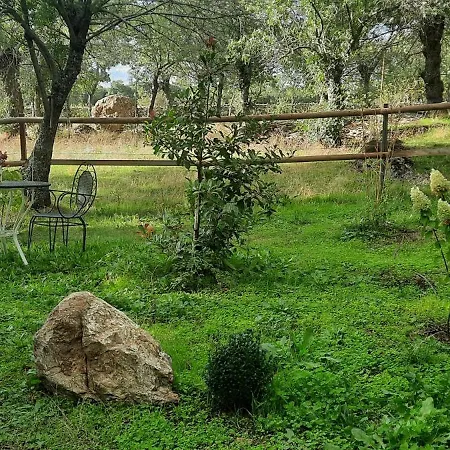 Finca Linares Tenzuela